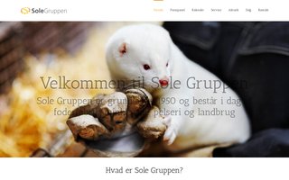 Screenshot af solegruppen.dk