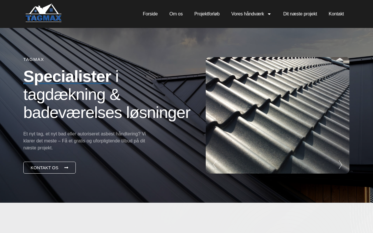 Screenshot af tagmax.dk