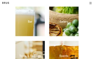 Screenshot af tapperietbrus.dk