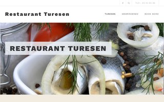 Screenshot af turesen.dk