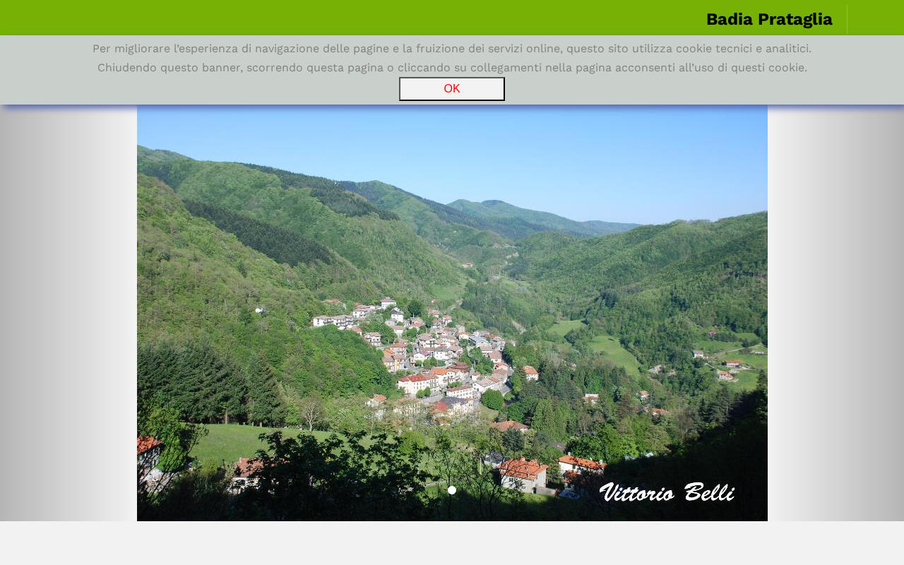 badiaprataglia.net