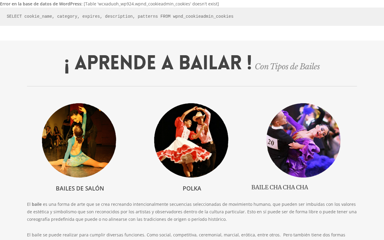 tiposdebailes.net
