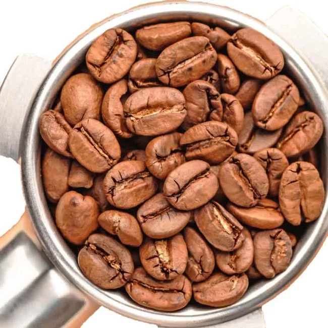 Brazil Santos | A mild & nutty Arabica