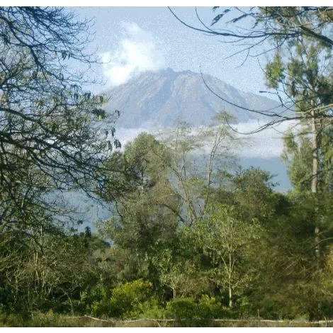 TANZANIA (Arusha)