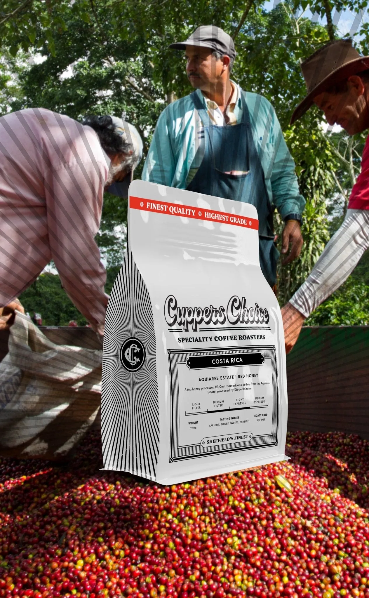 Aquiares | Red Honey | Costa Rica