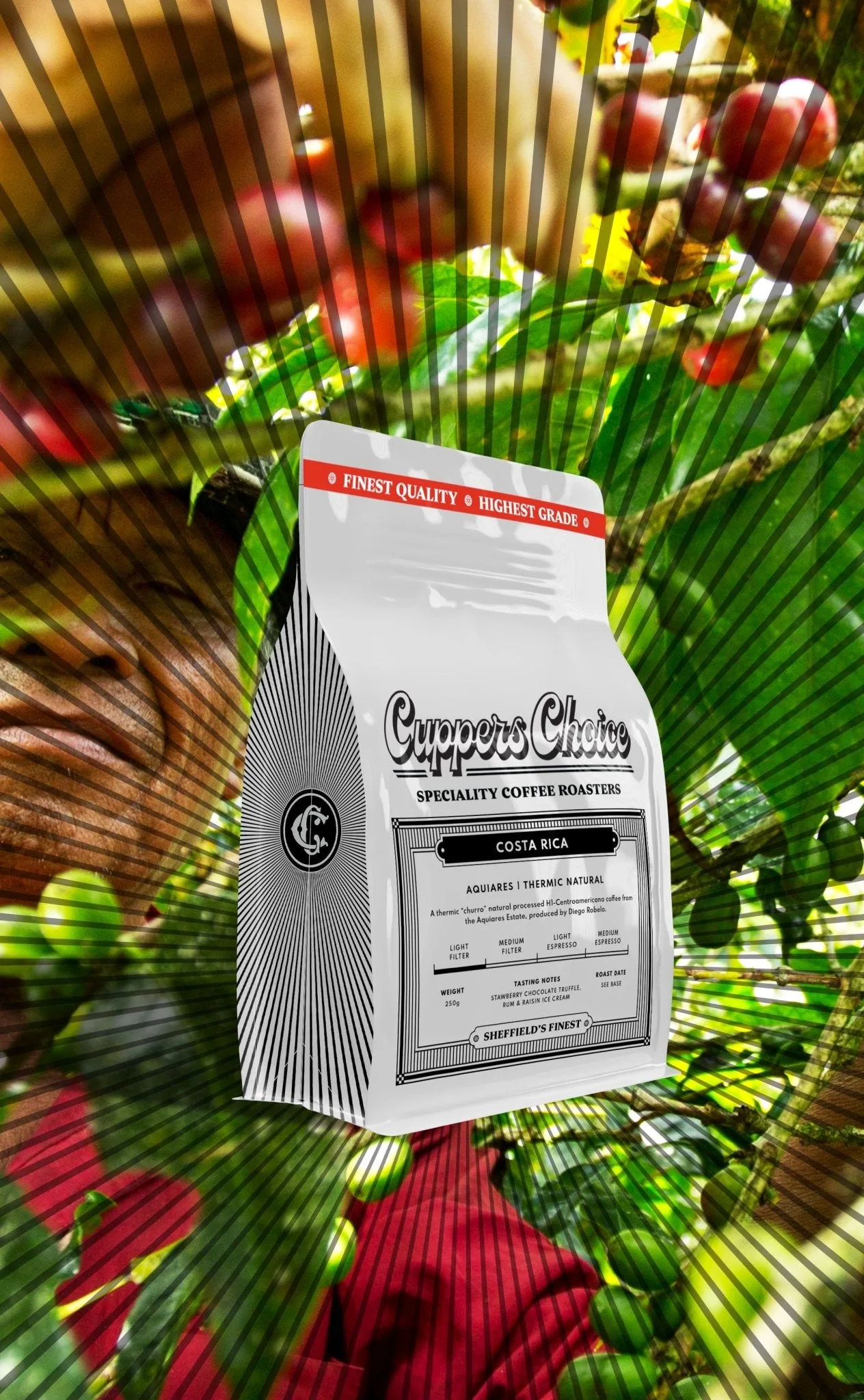 Aquiares | Thermic "Churro" Natual | Costa Rica