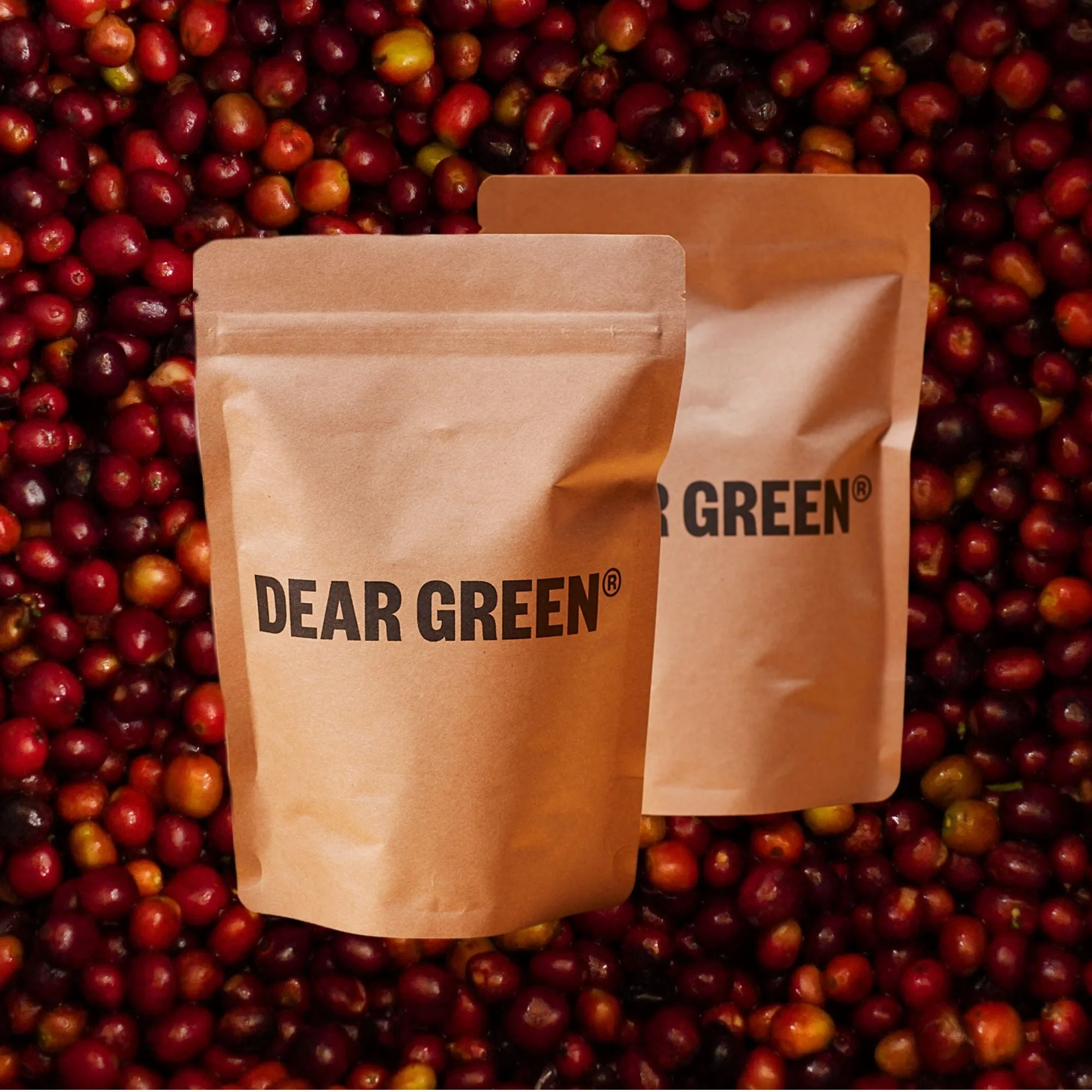 Ethiopia - Washed & Natural Bundle