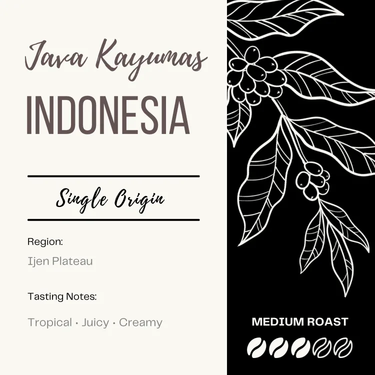 INDONESIA - JAVA KAYUMAS