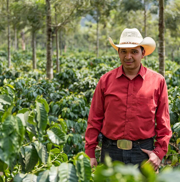 Finca Filadelfia Washed, Guatemala