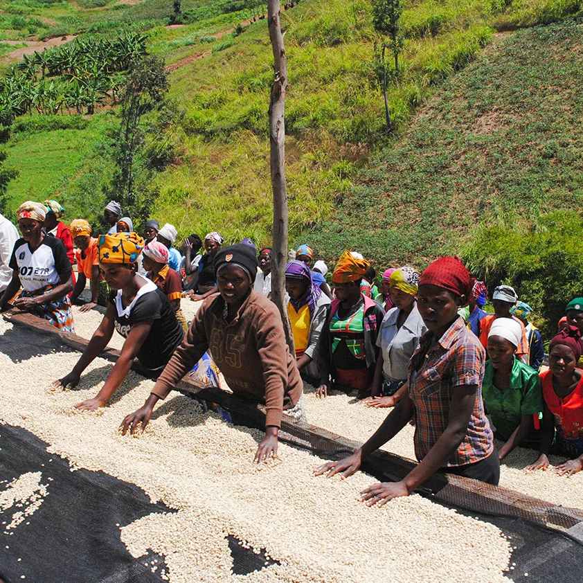 Kibaya Washed, Rwanda