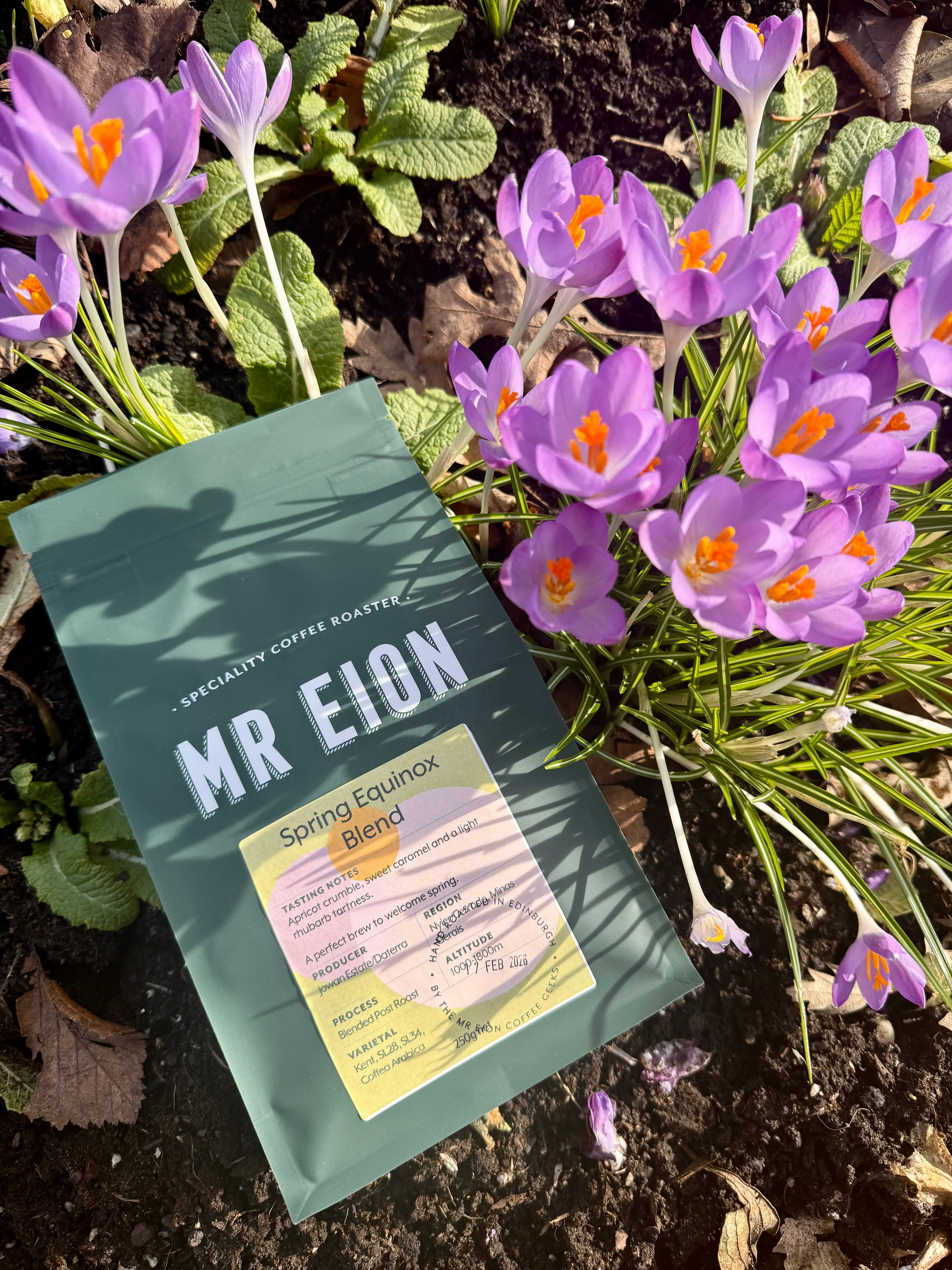 Spring Equinox Blend
