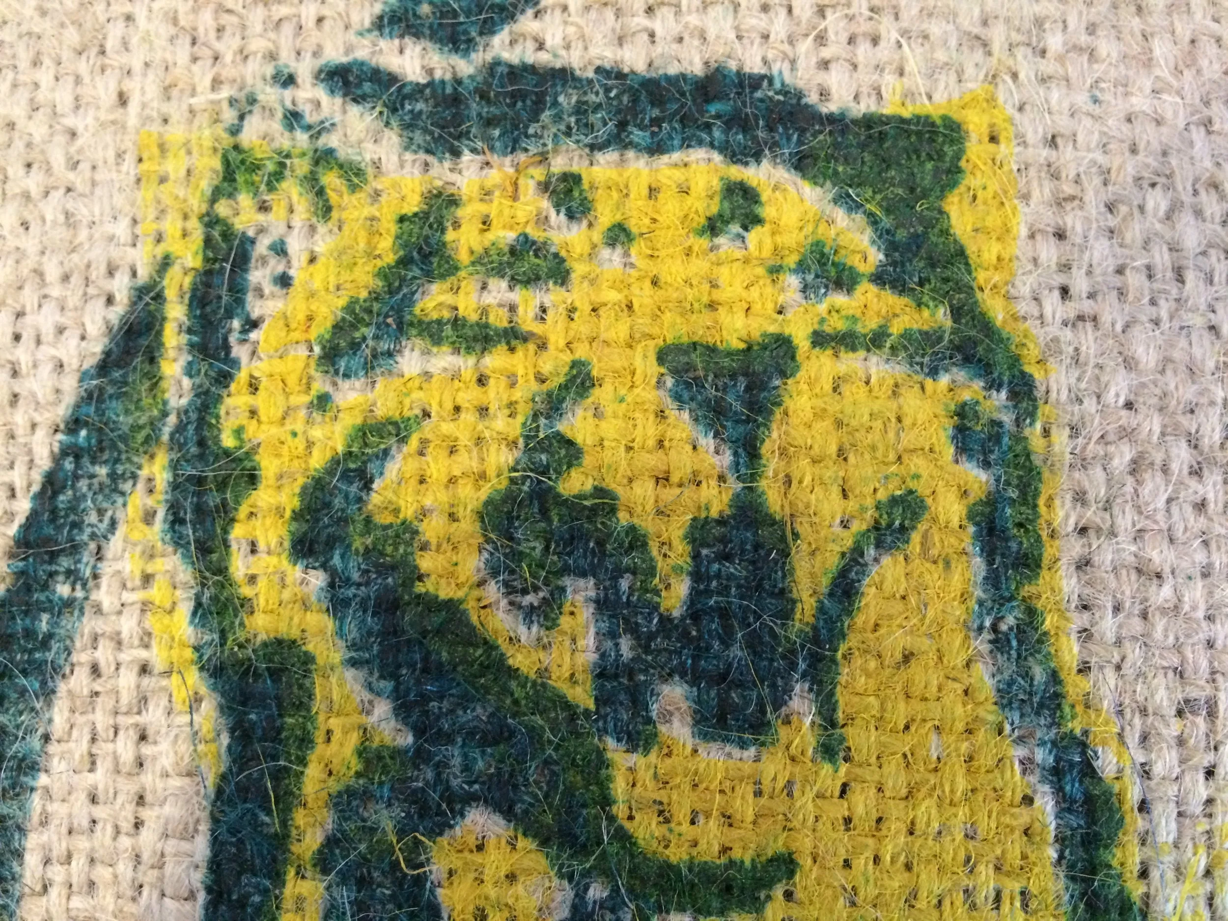Indian Tiger Paws