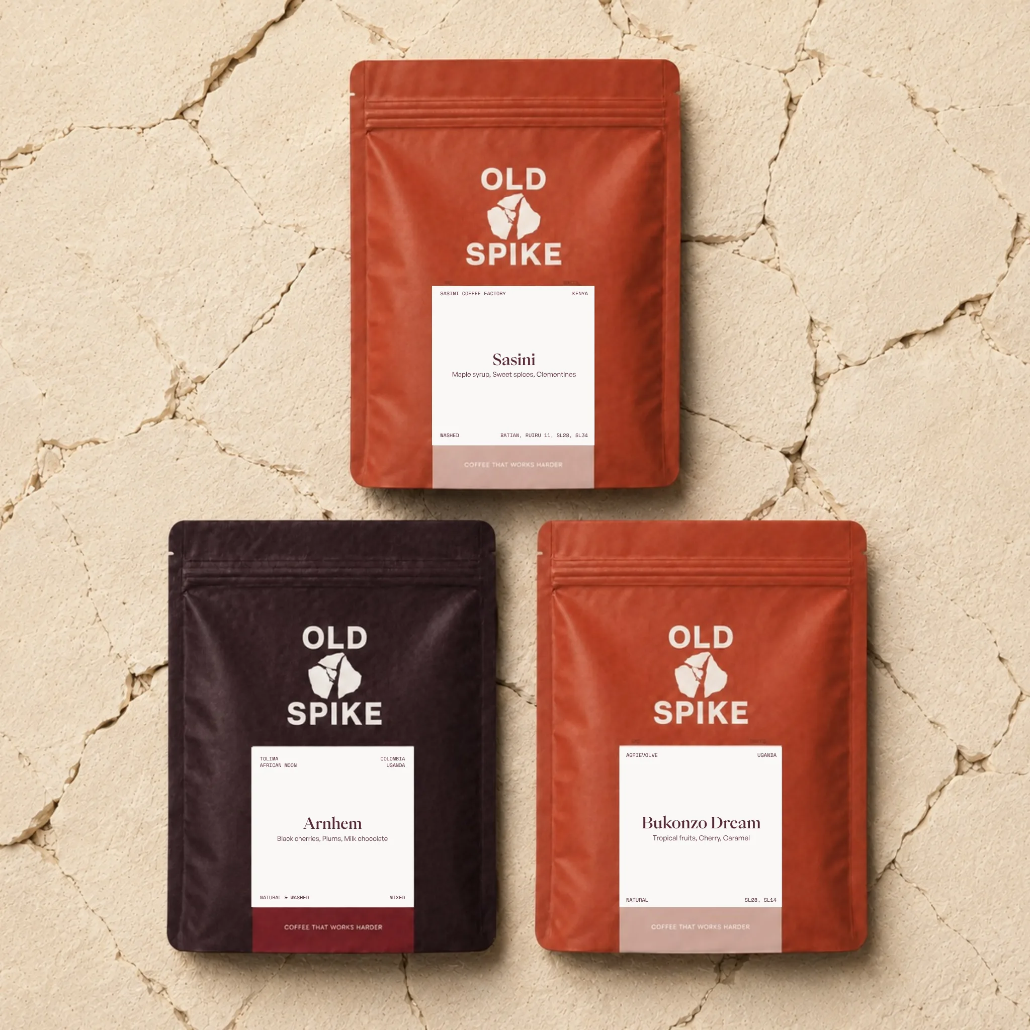 Coffee Explorer Bundle