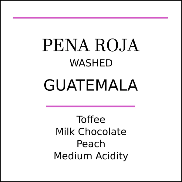 Guatemala Pena Roja Medium Roast
