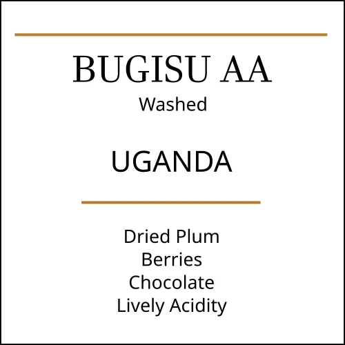 Uganda Bugisu AA Medium Roast