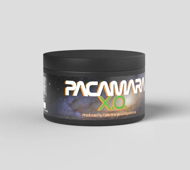 CGLE pacamara XO