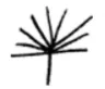 Sustain Coffee logo