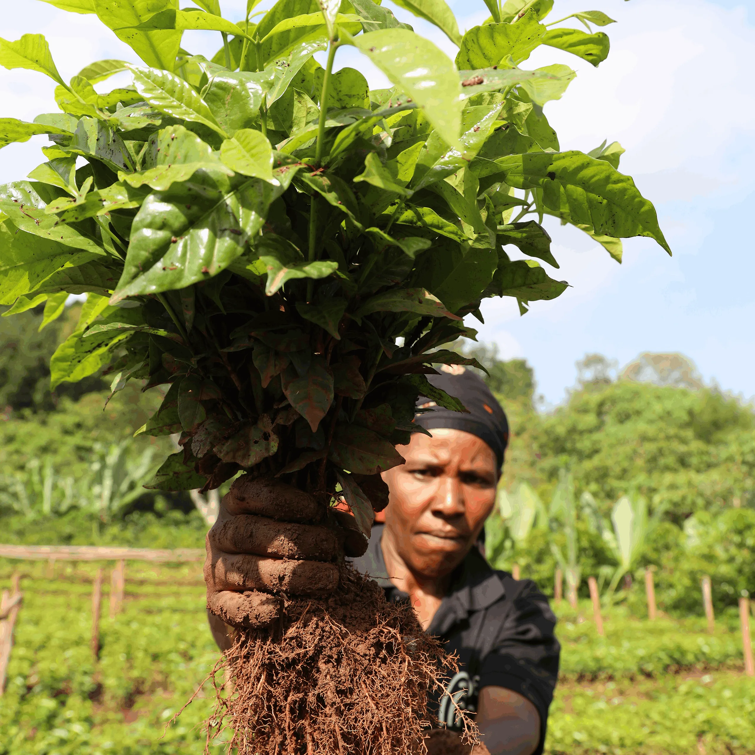 Ethiopia – Bette Buna