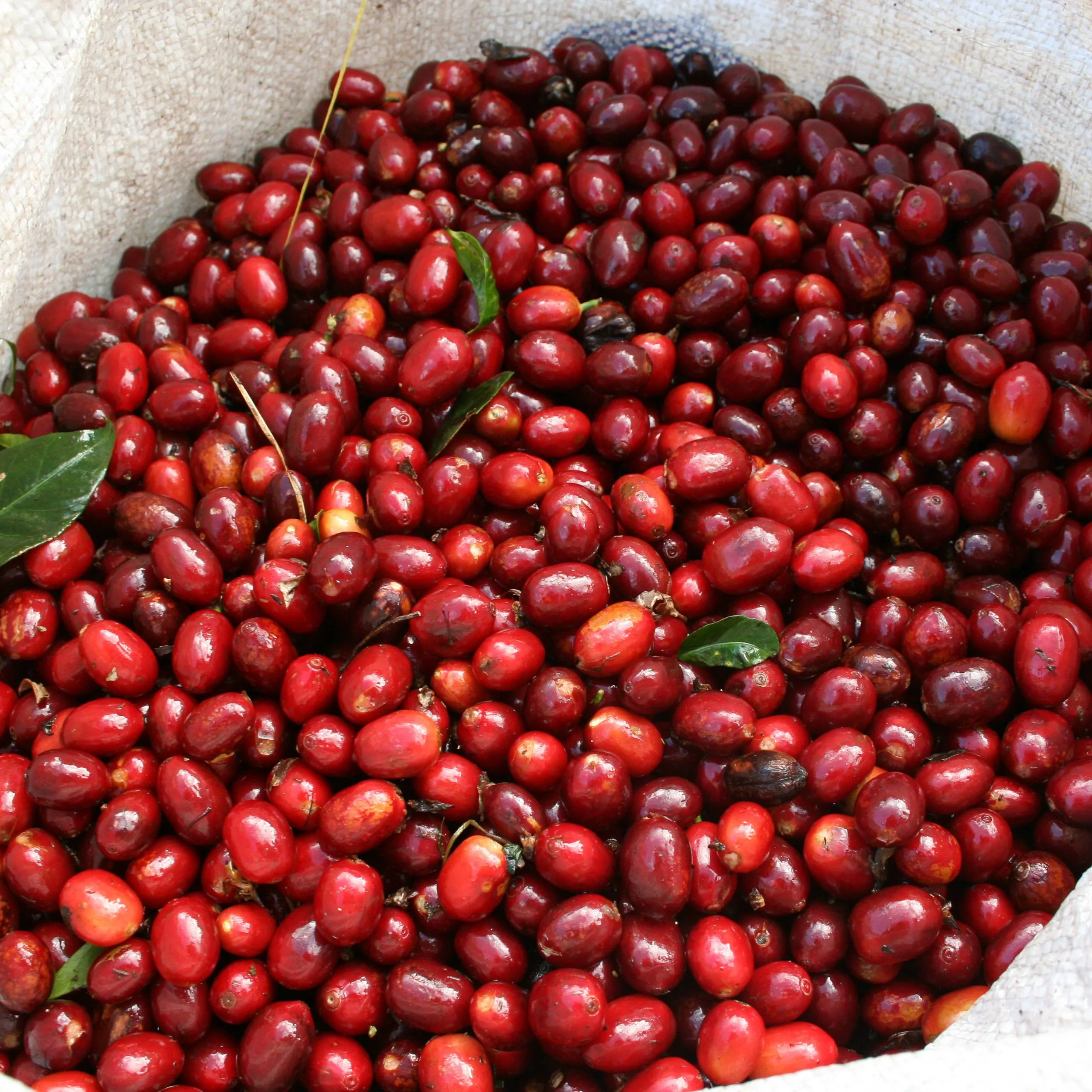 El Salvador – Las Mercedes