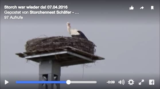 Storch war wieder da! 07.04.2016