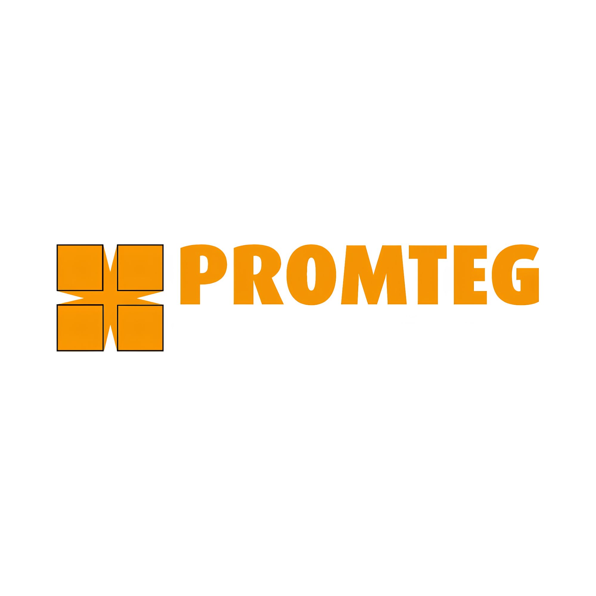 PromTeg Groep logo