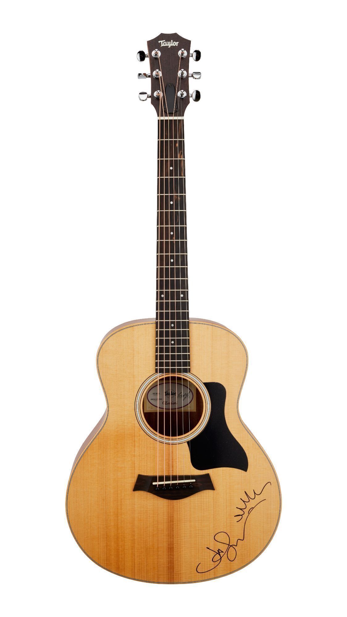 Jason Mraz | Signed Taylor GS Mini Acoustic Guitar
