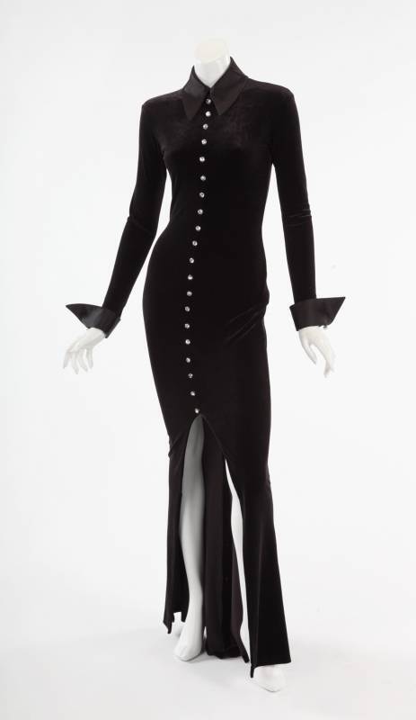 WHITNEY HOUSTON GOWN WORN TO THE 1994 IMAGE AWARDS WHITNEY HOUSTON GOWN WORN TO THE 1994 IMAGE AWARDS