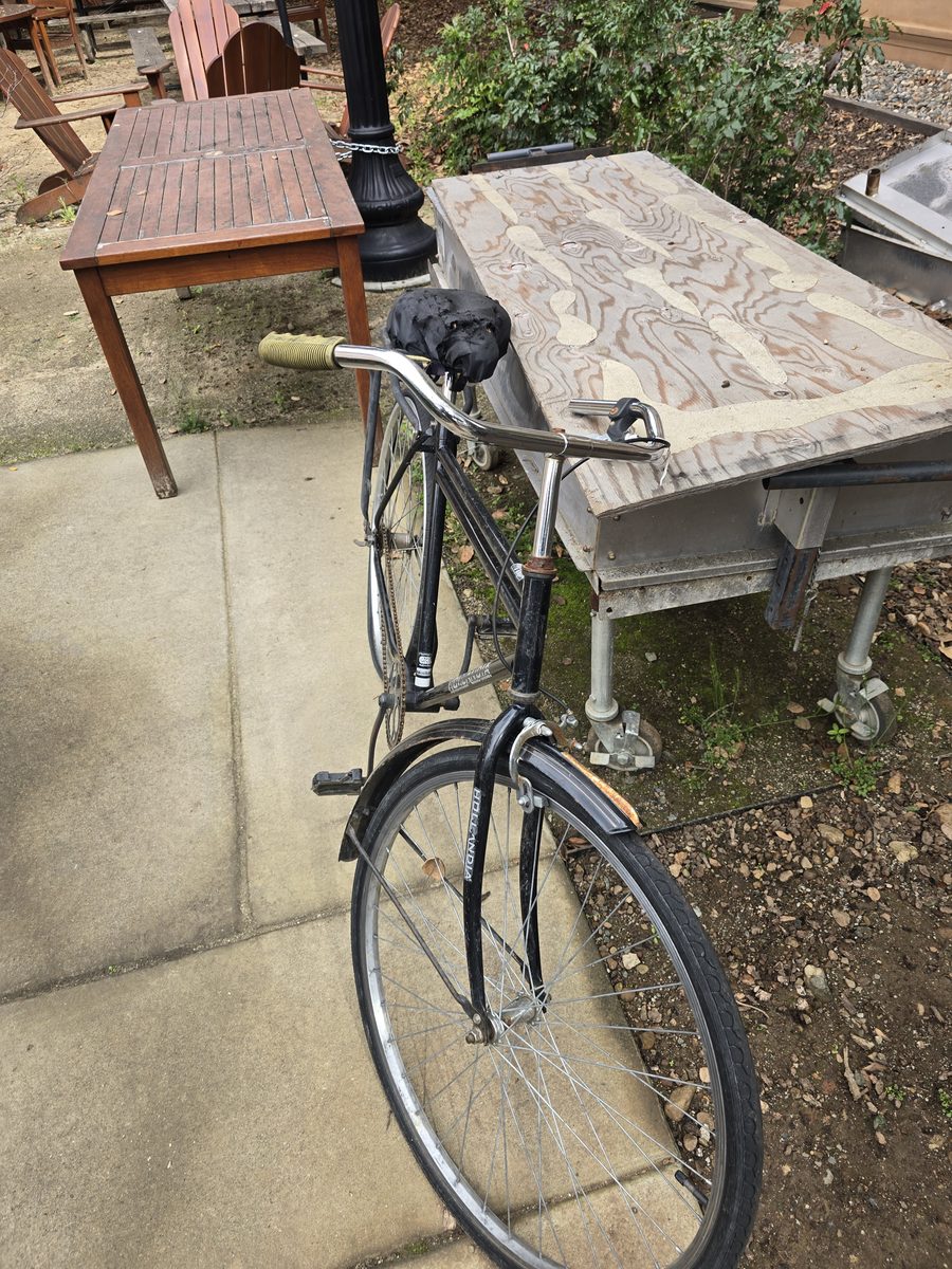 Hollandia bike - Black