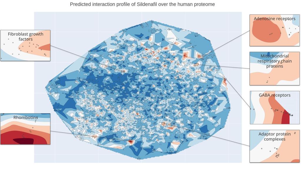 Kantify’s Target Atlas for Sildenafil. Warm zones indicate a higher likelihood that Sildenafil interacts with these groups of families. Cutouts focus on 6 families that we detail below.