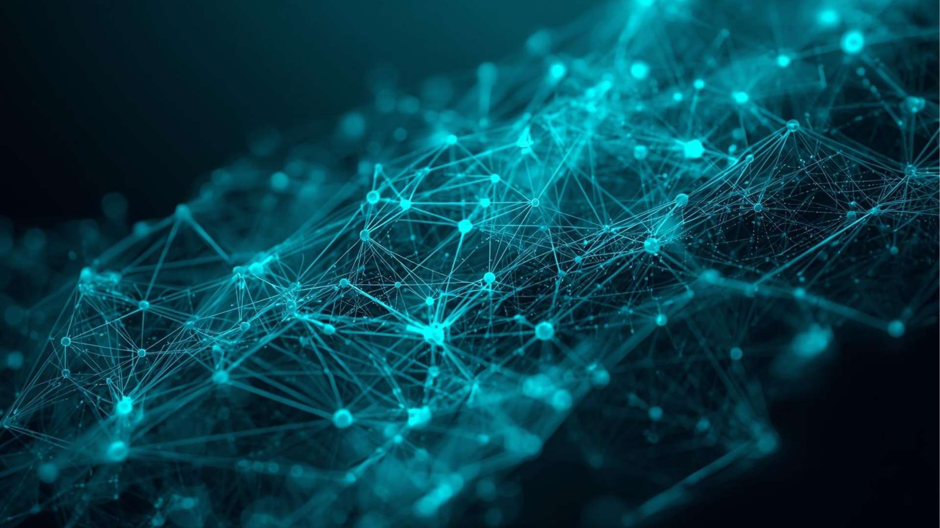 Kantify Appoints Diana Sarkees Avoo as Junior ML Engineer