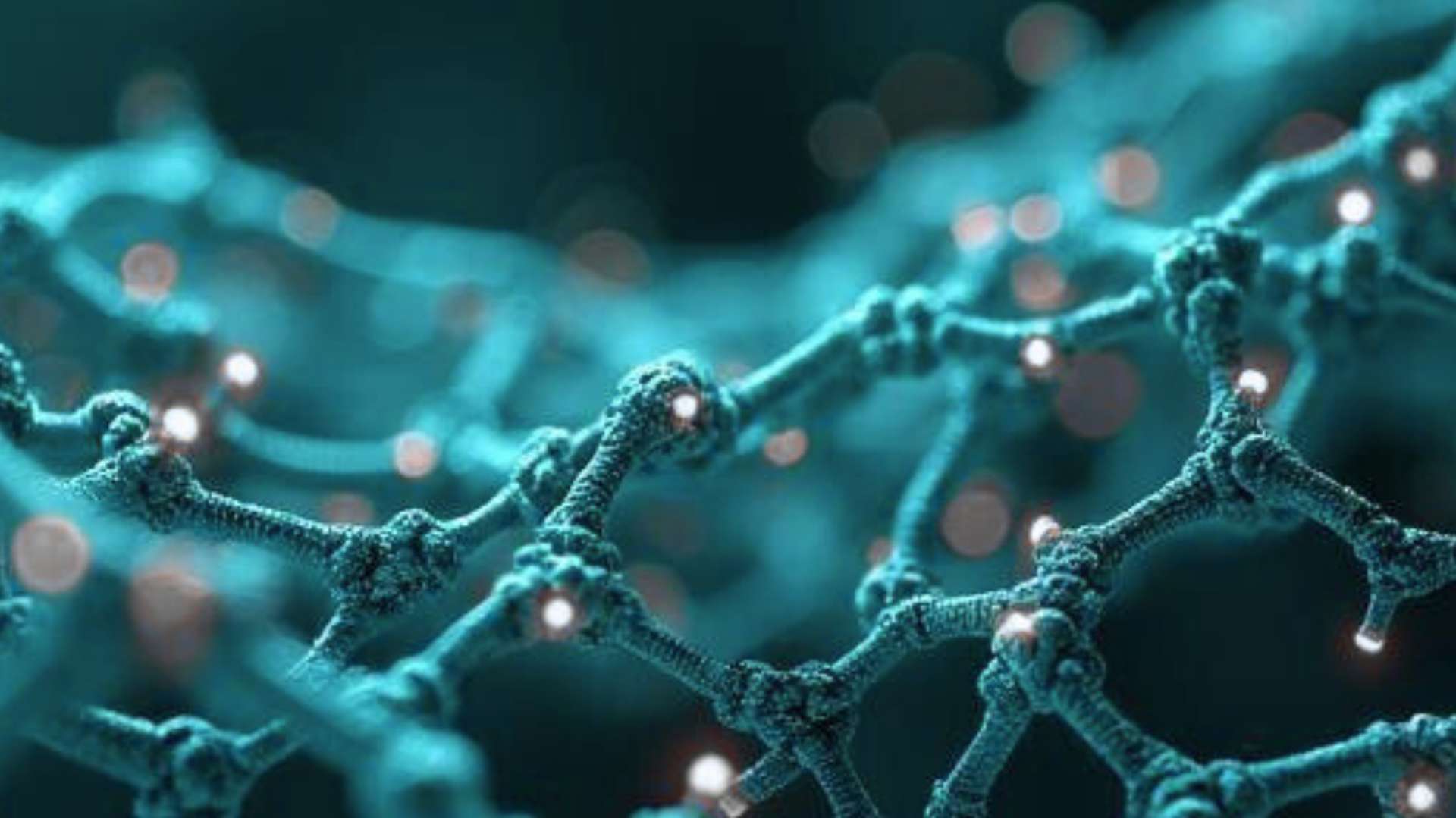 AI unveils secret targets of drugs, starting with Viagra