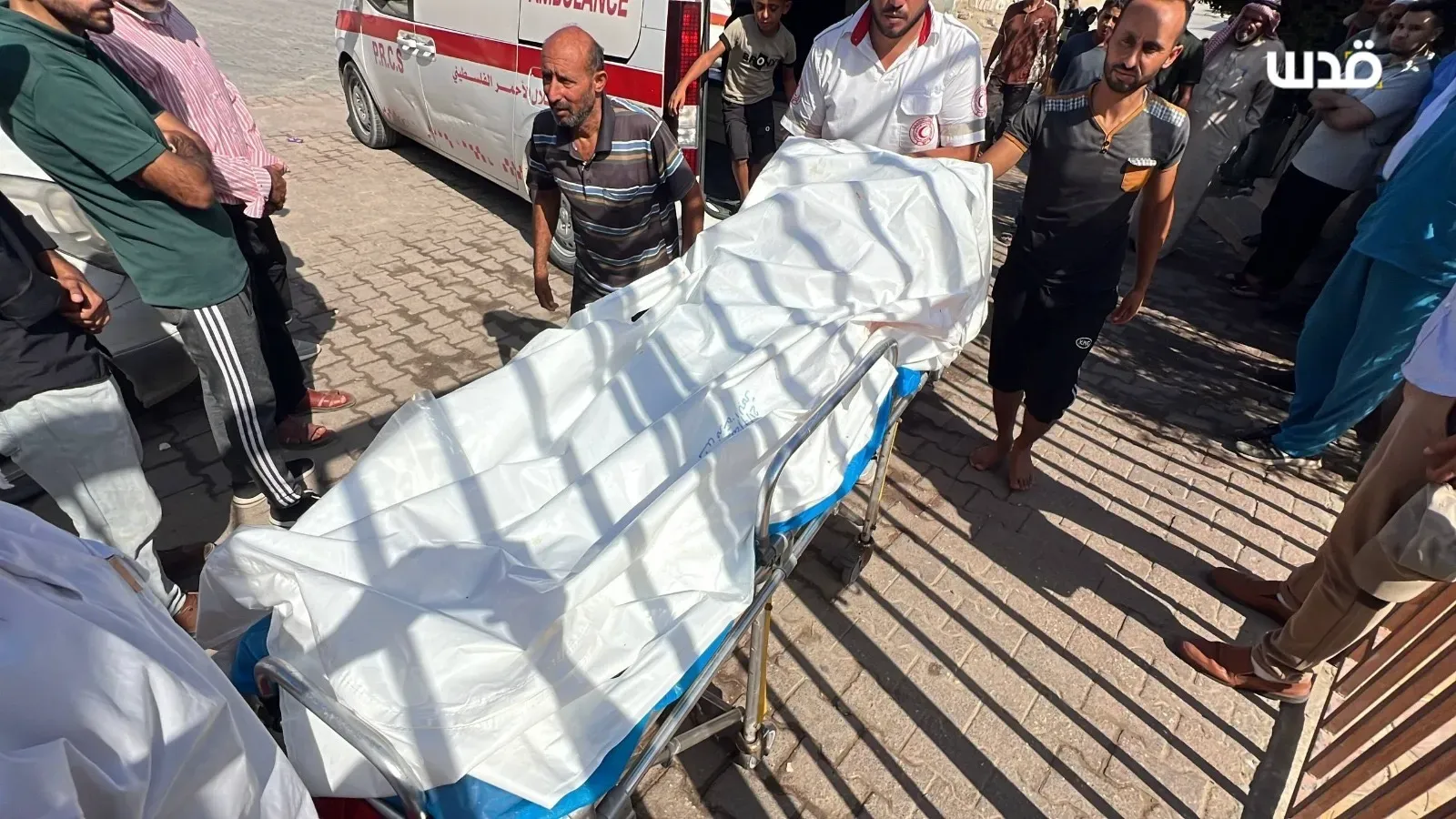 قوات الاحتلال تقتل طفلاً وامرأة وشاباً في غزة
