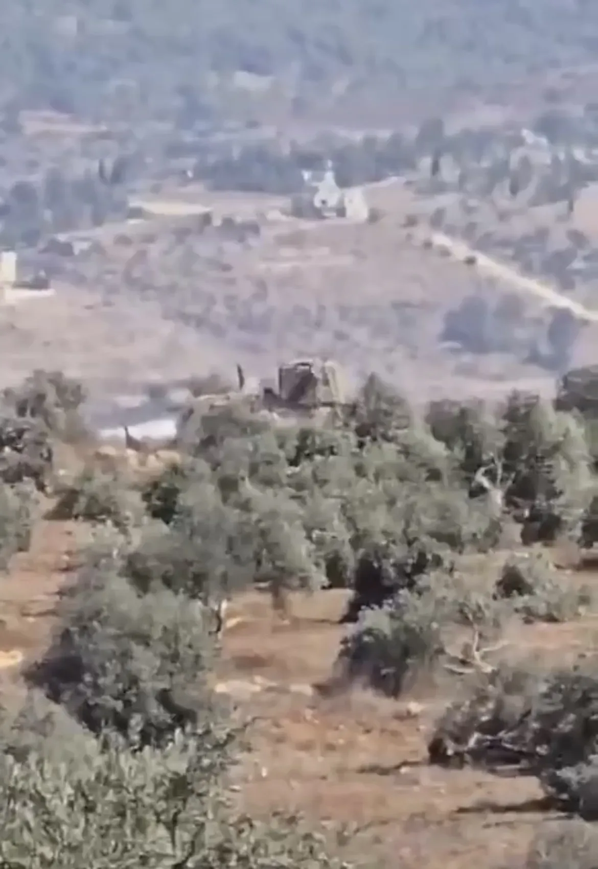 Israel Bulldozes 306 Dunams, Uproots Olive Trees in Jenin