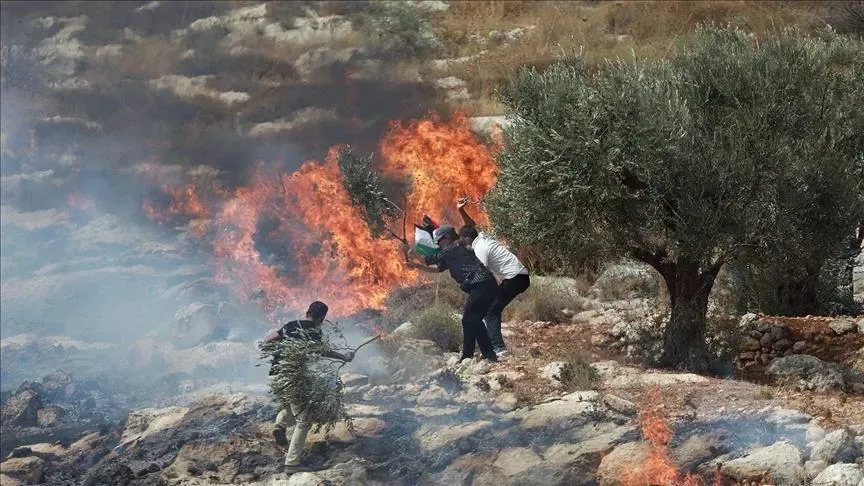 Settler attacks across West Bank target residents and property