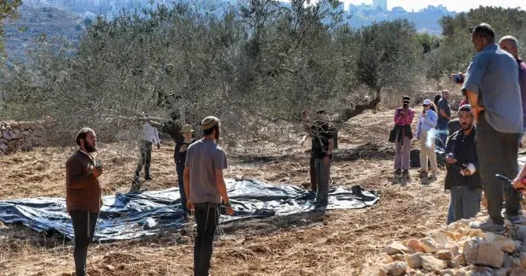 351 Settler Violations in West Bank Since Early October