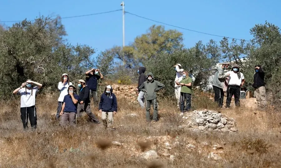 Settlers attack olive pickers and burn vehicles in Ramallah