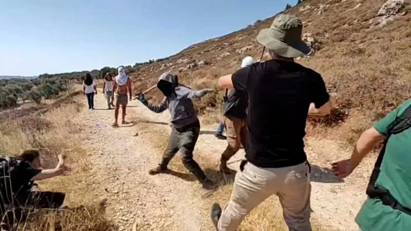 مستوطنون يعتدون على طواقم بلدية بيت أمر شمال الخليل