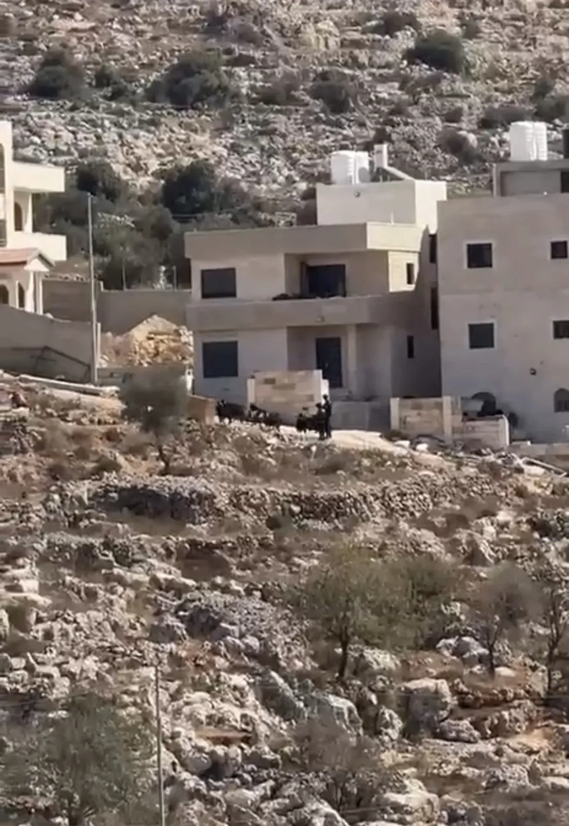 Settlers seal Wad al-Rababa, assault farmers in Salfit