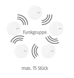 ABUS Funk-Rauchmelder RWM450 Rauch- und Hitzewarnmelder 34291 10325