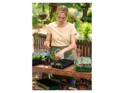 PARKSIDE® Anzuchtkasten-Set Grün/Transparent/Schwarz 4052916891926