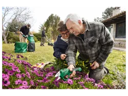 PARKSIDE® Herren Cargo-Arbeitsbundhose Khaki 54 27071 8301