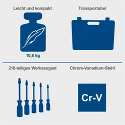 Werkzeugkoffer TB250 Scheppach Werkzeug Set 36664 11095