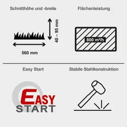 Wiesenmäher HMP161-56B Scheppach black 36252 10882