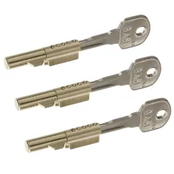 BASI Türriegel Schlüssellochsperrer für Buntbart-Schlösser Spar-Set 4026434439090