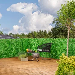 Sichtschutzhecke Labrusca 9003117065017