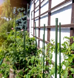 Onl.-Set Stahlpfl.St. grün V3 9003117891142