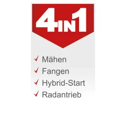 Aufsitzrasenmäher MR196-61 Scheppach 4046664069478