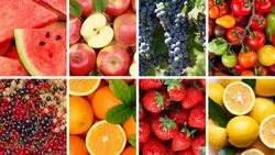 BOSCH Beerenpressenaufsatz MWZS0JPB Edelstahl spülmaschinenfest 33369 10054