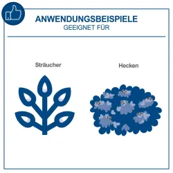 Akku-Teleskop-Heckenschere C-PHS410-X Scheppach 20V 659 207