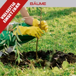 Benzin Erdbohrer PX-EB-52 Practixx 28721 8750